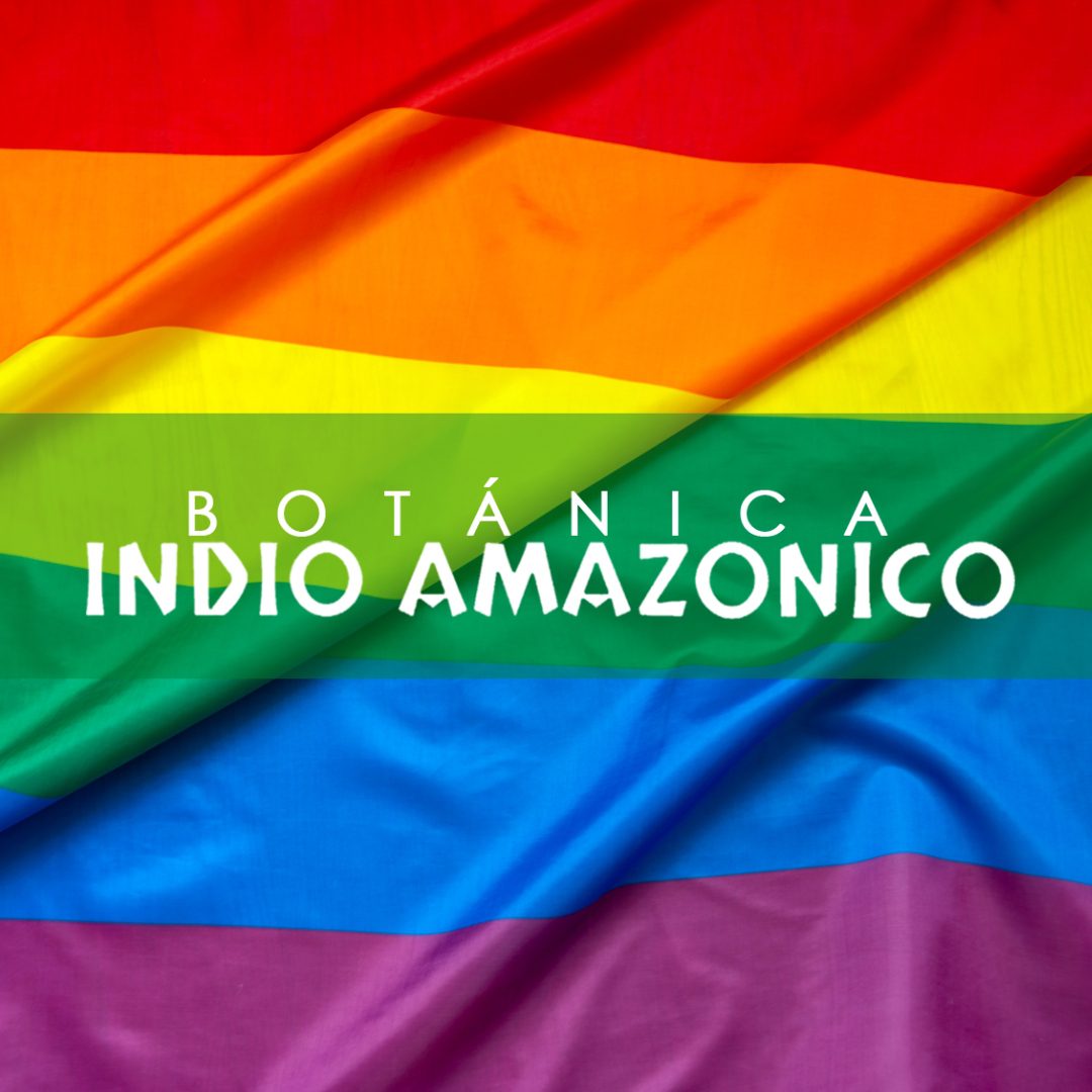 indio-amazonico-rituales-de-amor-gay-en-chicago-il