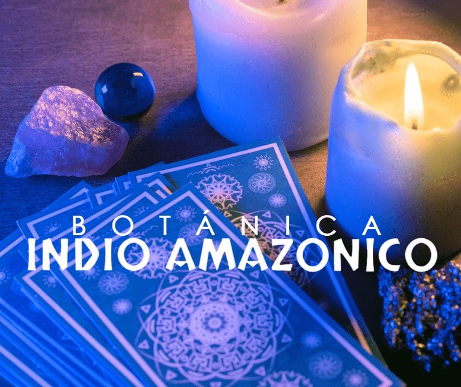 lectura del tarot en hialeah fl