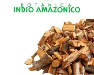 Negocio de plantas medicinales