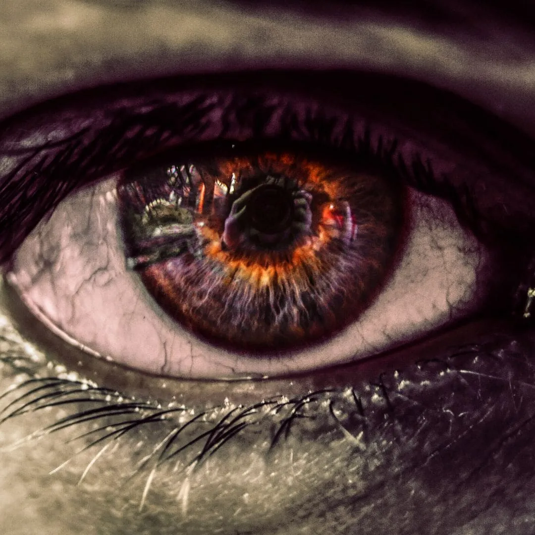 indio amazonico limpias y barridas para la envidia chicago il