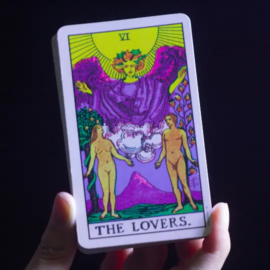 lectura de cartas davenport ia botanica indio amazonico webp