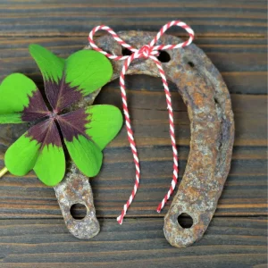 indio amazonico amuletos preparados herradura chicago