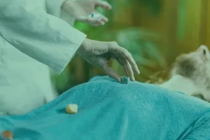 la mejor Cristaloterapia para las curaciones espirituales